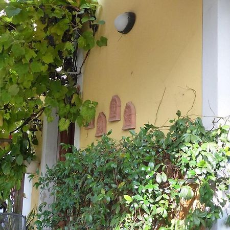 B&B Il Casale Di Nanni Lucca Exterior foto